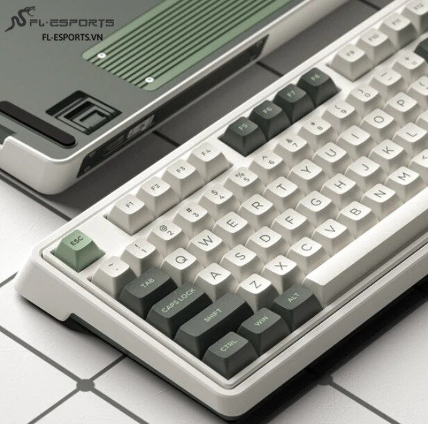 Bàn phím cơ FL-Esports CMK98SAM 3 Mode Wireless Tropical Forest 