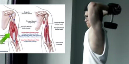 Tạ tay nhựa 8 kg