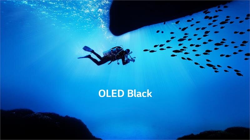 Smart Tivi OLED LG 55 inch 55E9PTA, 4K UHD, HDR