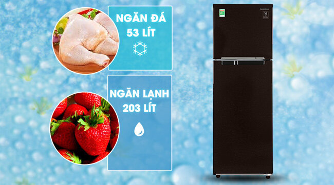 Kiểu tủ lạnh truyền thống ngăn đá trên, ngăn lạnh phía dưới Tủ lạnh Samsung RT25M4032BY/SV