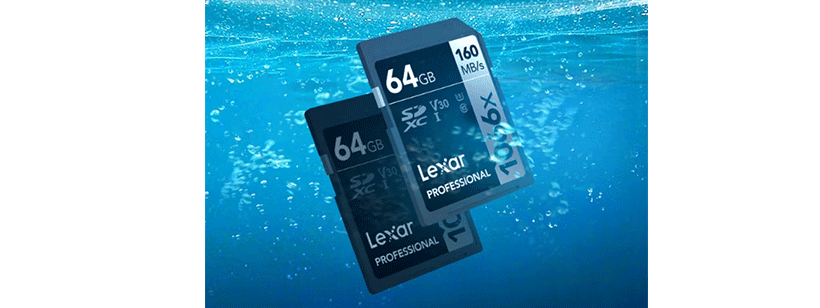 Thẻ nhớ SD Lexar Professional 1066x SDXC V30 64Gb (R/W:160/120M)