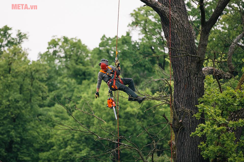 Máy cưa xích Echo CS600S