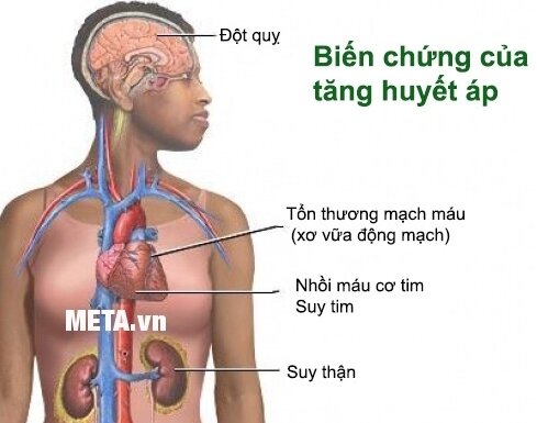 Máy đo huyết áp bắp tay Beurer BM44