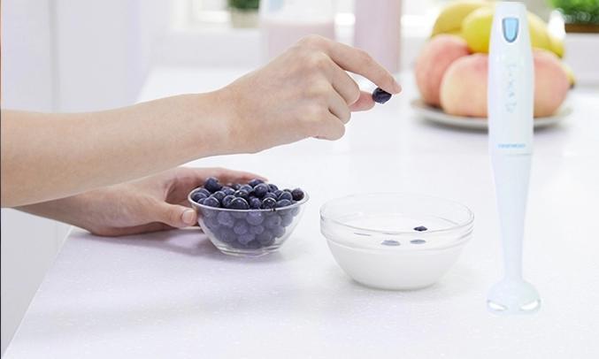 Máy xay sinh tố cầm tay Daewoo DEB-JZ150 - Thiết kế