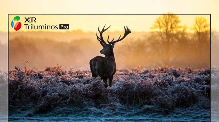 Google Tivi Sony 50 inch 4K KD-50X85K