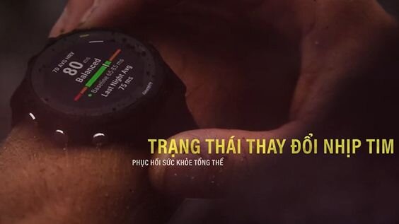 30 môn thể thao, gợi ý bài tập hàng ngày