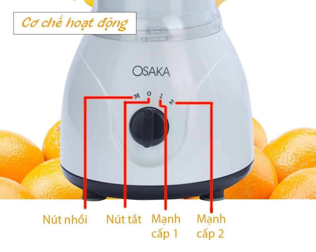 Máy xay ép đa năng 5 trong 1 Osaka BL739 (500W)