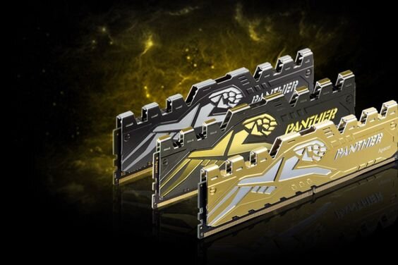 RAM Desktop Apacer Panther Golden 16GB (Ảnh 4)