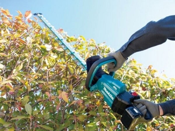 Máy tỉa hàng rào dùng pin 