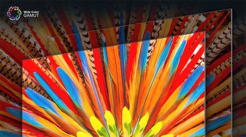 TV TCL 55P745 trang bị công nghệ dải màu WCG