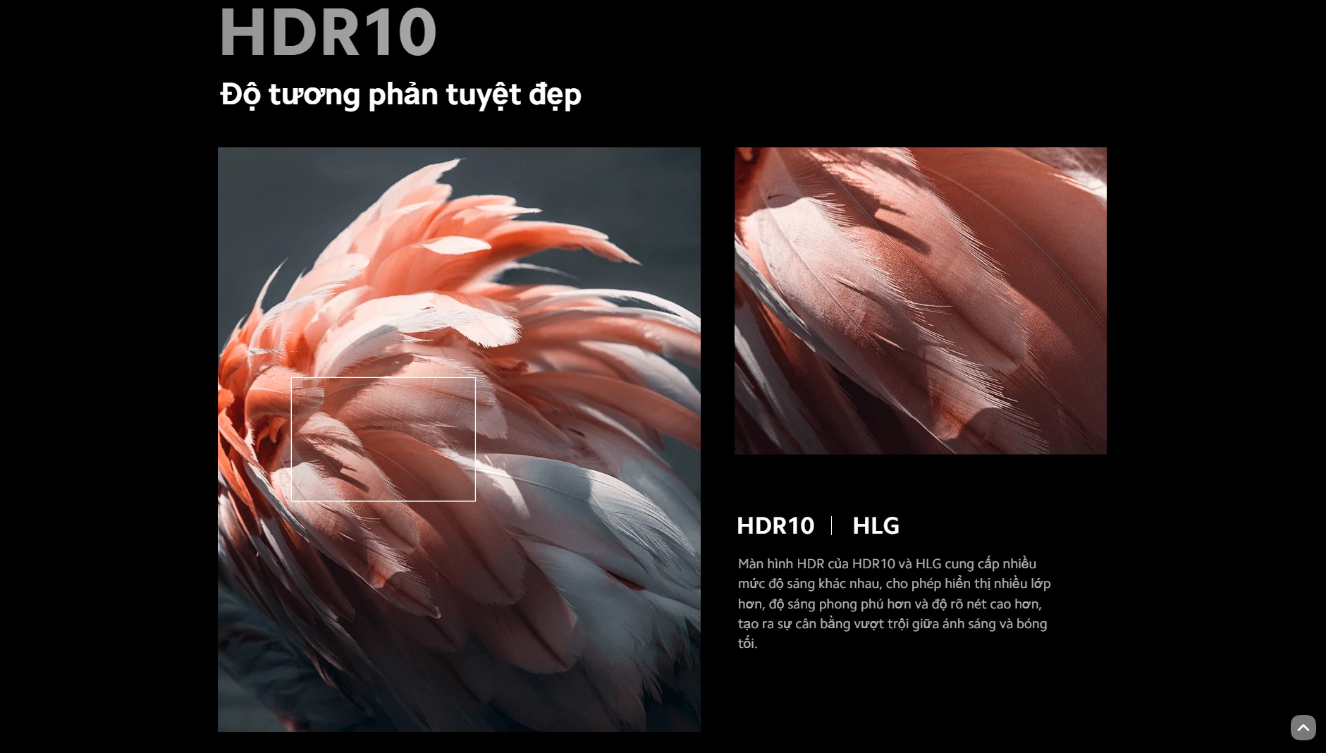 Công nghệ hình ảnh HDR10 trên Xiaomi L55MA-ASEA Xiaomi L55MA-ASEA