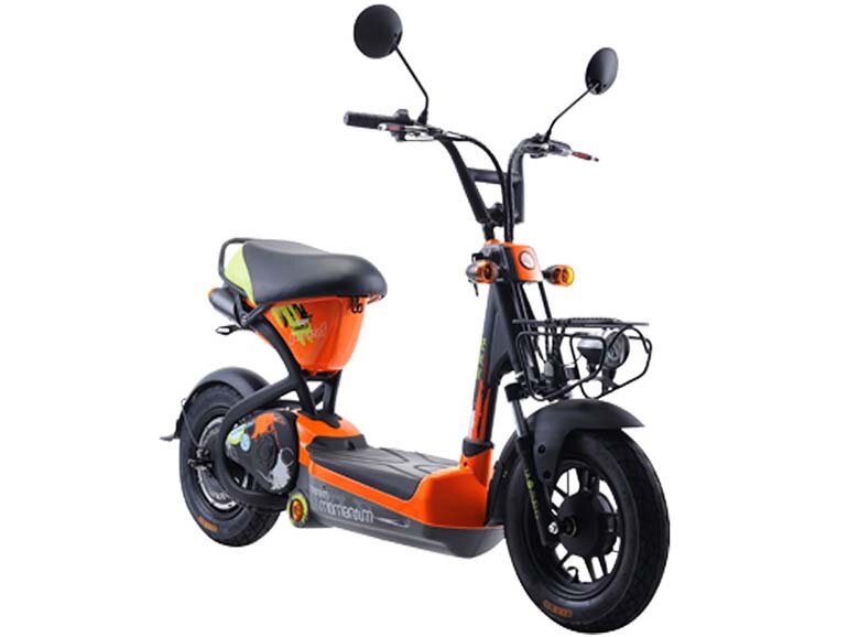 Xe đạp điện Giant 133M