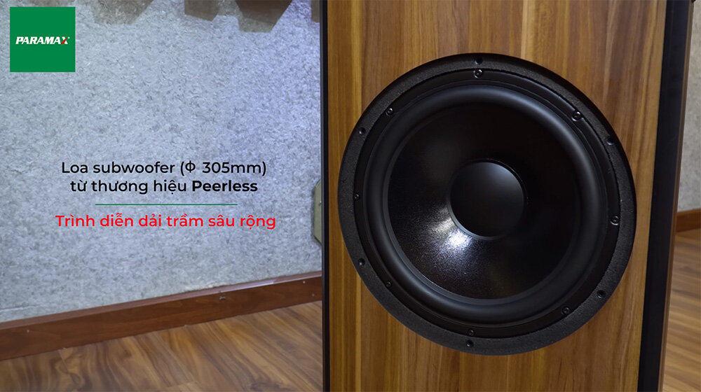 Củ loa subwoofer có kích cỡ lớn 12 inch bố trí bên mặt hông của thùng loa