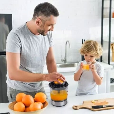 Máy vắt cam Lebenlang LB389 Máy vắt cam Lebenlang LB389
