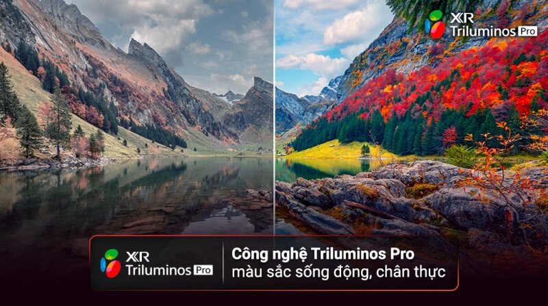 Màu sắc sống động với công nghệ XR Triluminos Pro (Ảnh: Điện Máy Xanh).