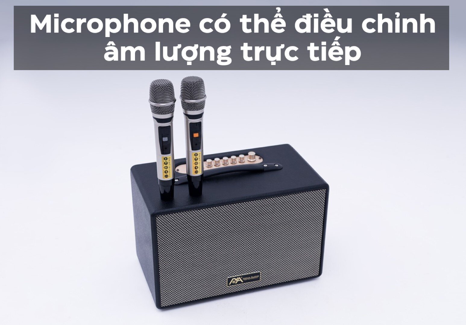 Loa karaoke di động Nova Audio NV-300 Platinum - Màu đen