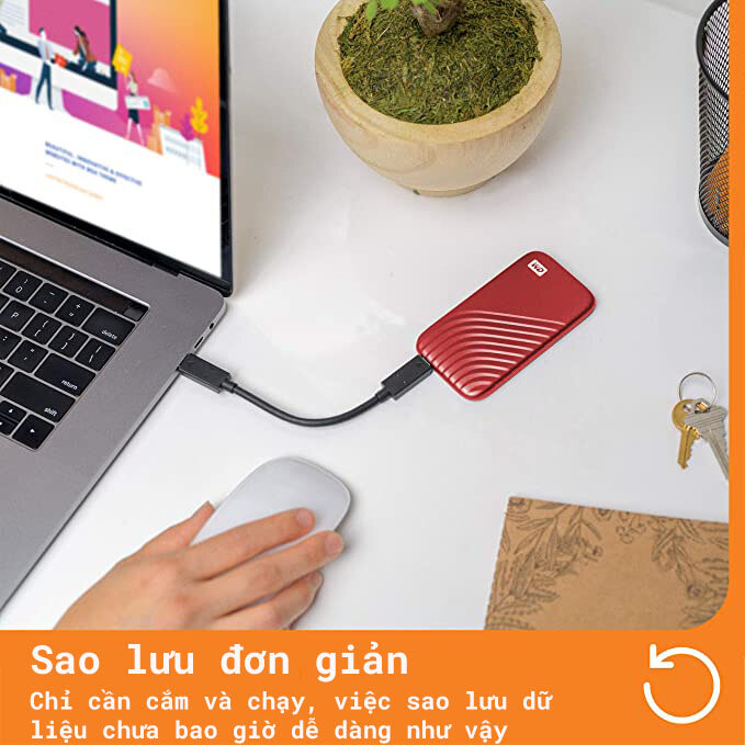 Ổ cứng di động WD MY PASSPORT SSD Xám USB 3.2