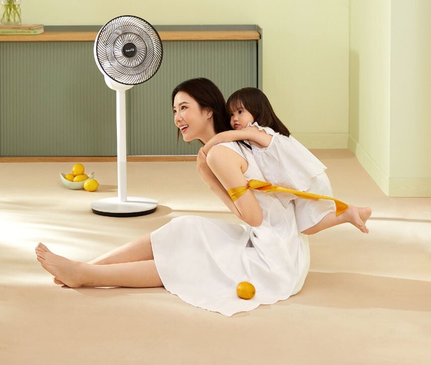 Quạt tích điện tuần hoàn không khí 