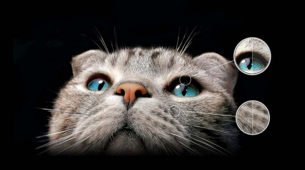 Với công nghệ IMAX của TCL 55C755 giúp bạn có trải nghiệm điện ảnh tuyệt vời Google TV TCL 4K 55C755