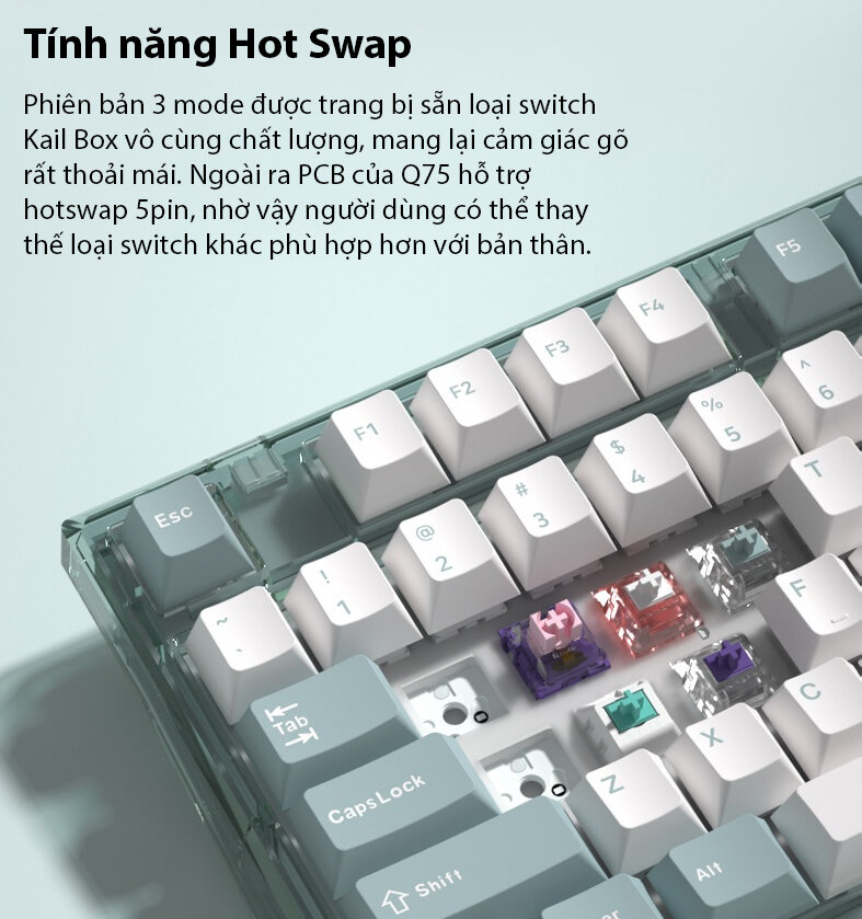 Bàn phím cơ Không dây FL-Esport Q75 Blue Haze 3 Mode Coolmint sw (Kailh Box/USBC/Bluetooth/RGB) 7
