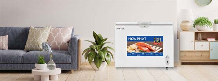 Tủ đông Hòa Phát HPF AD6252 có kiểu dáng gọn gàng hiện đại Tủ đông Hòa Phát HPF AD6252 có kiểu dáng gọn gàng hiện đại