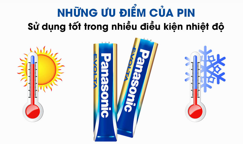 Pin AAA 2 viên Panasonic Evolta LR03EG-2B-V