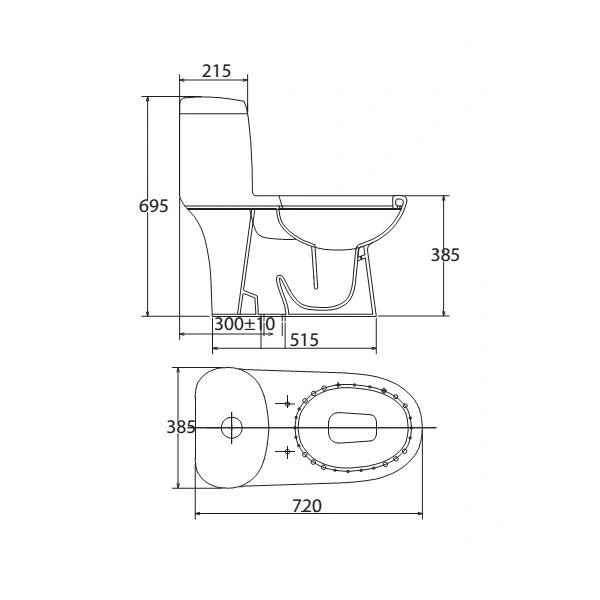 Bản vẽ kỹ thuật Bồn cầu liền 1 khối Viglacera C109