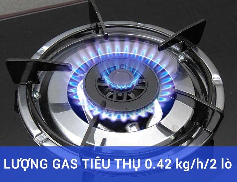 Bếp gas Sakura SA-695SG Bếp gas Sakura SA-695SG