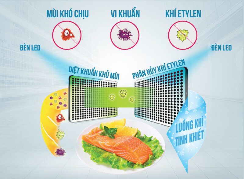 Tủ lạnh Toshiba 468 lít GR-HG52VDZ XK Tủ lạnh Toshiba 468 lít GR-HG52VDZ XK