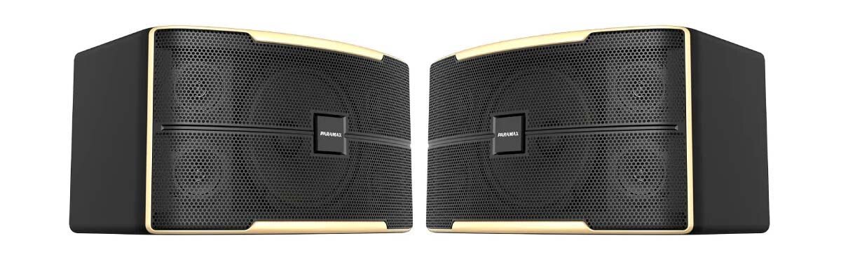 Loa Karaoke 12 Inches Paramax Z-2500