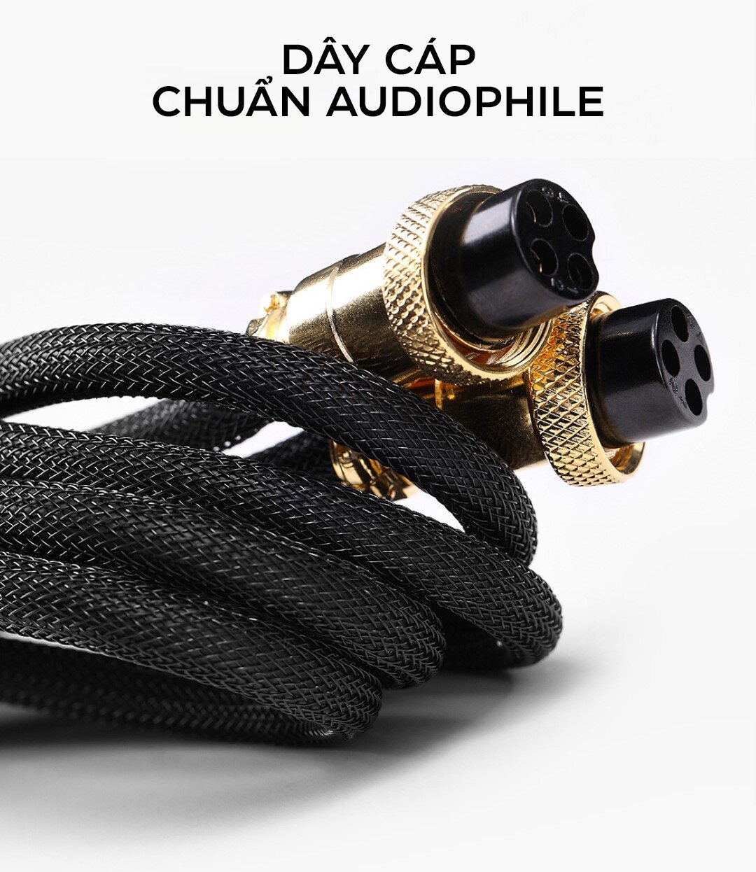 Loa HiVi Swan M200MKIII Plus