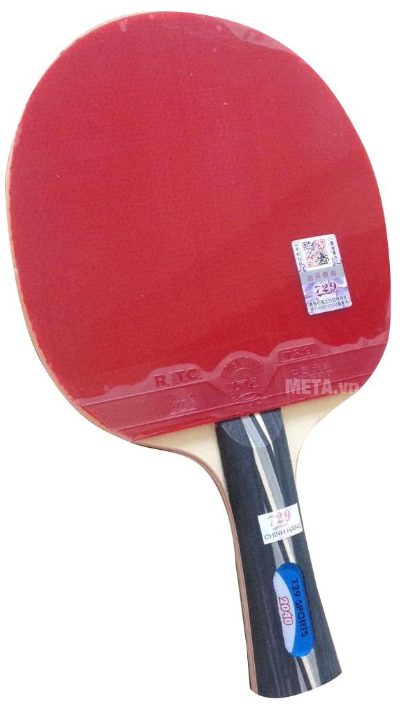 Vợt bóng bàn 729-2040