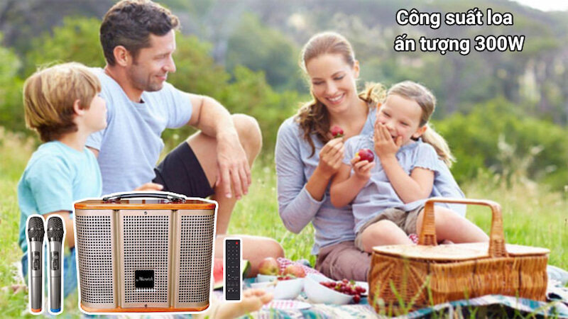 Công suất loa ấn tượng 300W