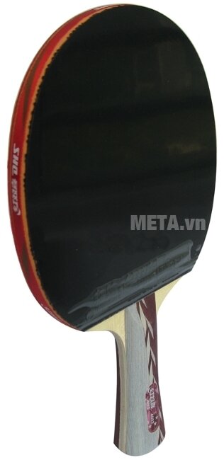 Vợt bóng bàn mút DHS-4002