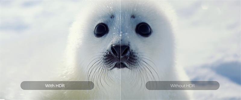 Smart Tivi TCL 4K 65P65-UF 65 inch UHD, LED TV