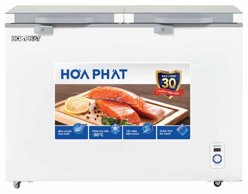 Tủ đông Hòa Phát 2 ngăn 245 lít BD6245.T1
