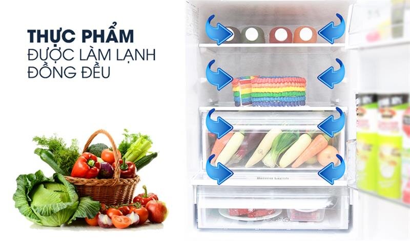 Tủ lạnh Panasonic NR-BV368GKV2 - 322Lít Inverter Cấp đông mềm