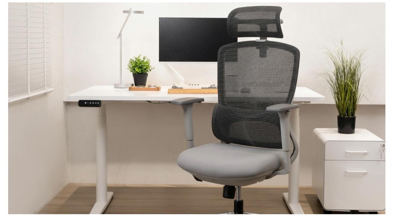 Ghế công thái học GAMI Focus V1 Grey (Lưng lưới, đệm)