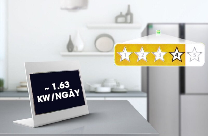 Tủ lạnh LG 629 lít GR-R267JS