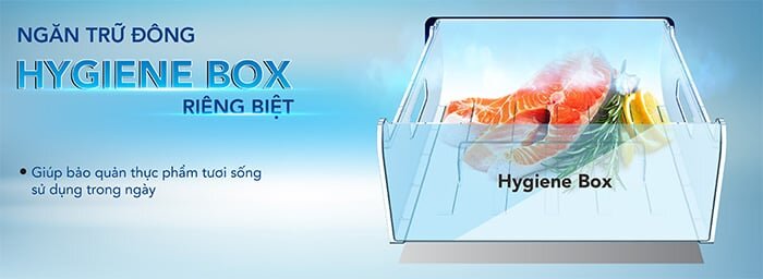 Tủ đông Hòa Phát đứng HPF UAH6106 trang bị ngăn trữ đông Tủ đông Hòa Phát đứng HPF UAH6106