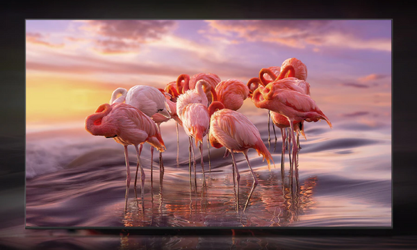 Smart Tivi QLED Samsung 4K 65 inch QA65Q80BAKXXV hình ảnh 4K