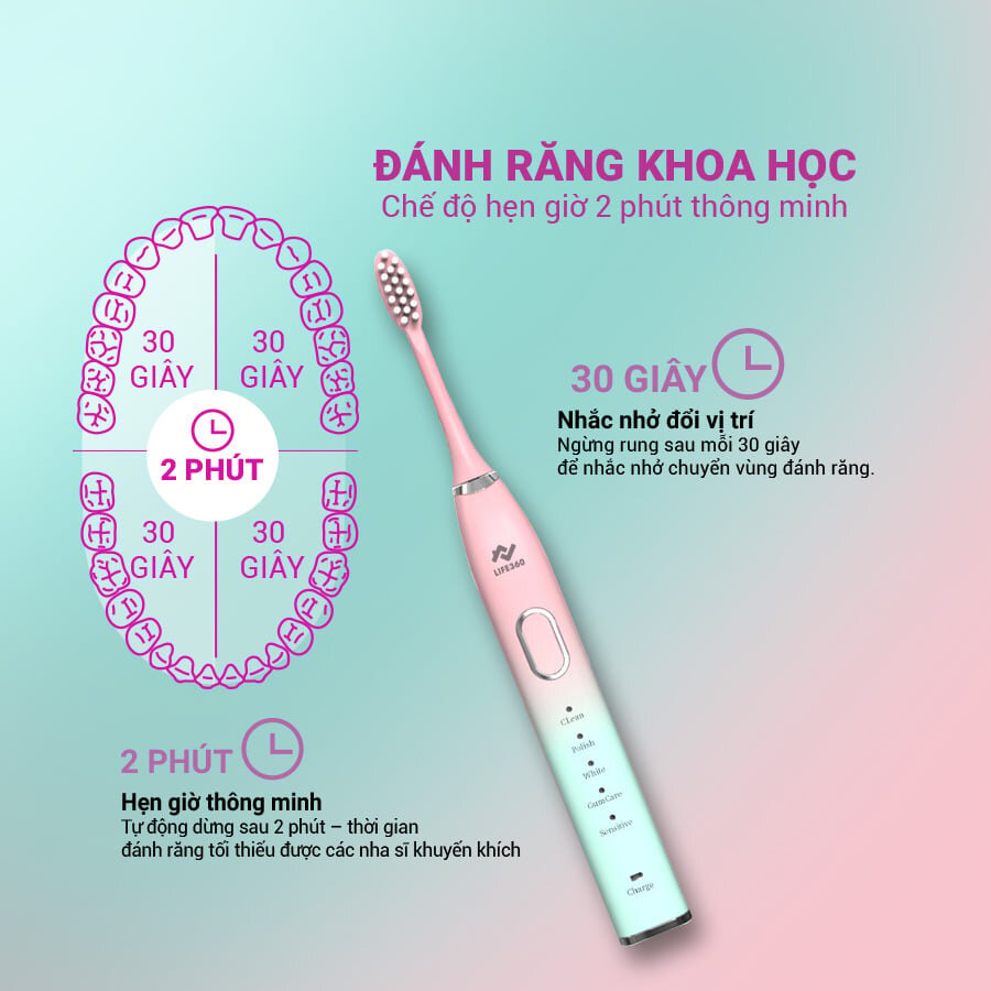 Chế độ đánh răng được nghiên cứu tỉ mỉ, khoa học