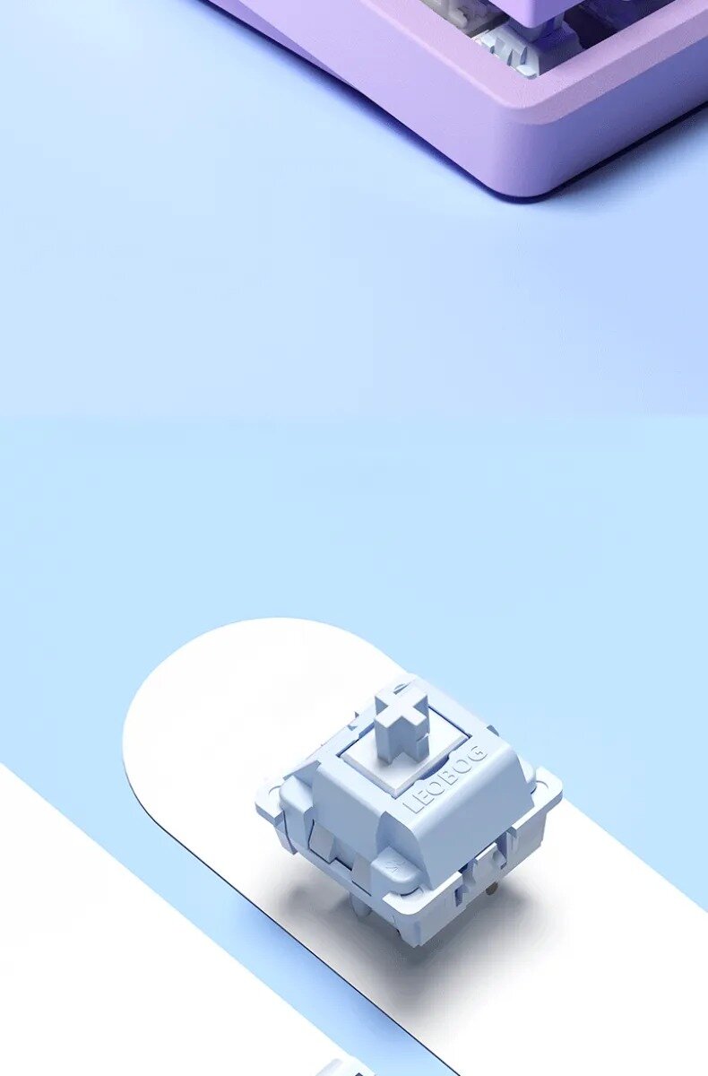 Bàn phím cơ LEOBOG Hi98 (Trắng / White dragon switch) 15