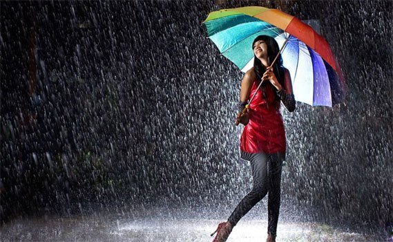 Màn hình máy tính LCD Dell E2016H 19.5