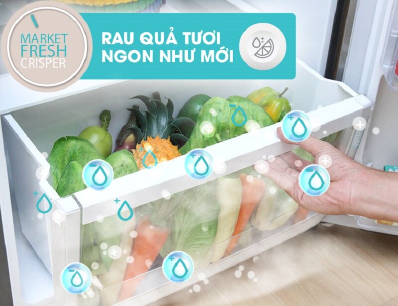 Tủ lạnh Electrolux 318 lít ETB3200MG Tủ lạnh Electrolux 318 lít ETB3200MG