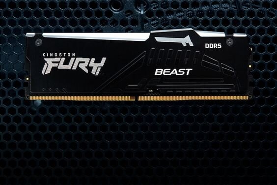 RAM Kingston FURY Beast DDR5 RGB 64GB (Ảnh 3)