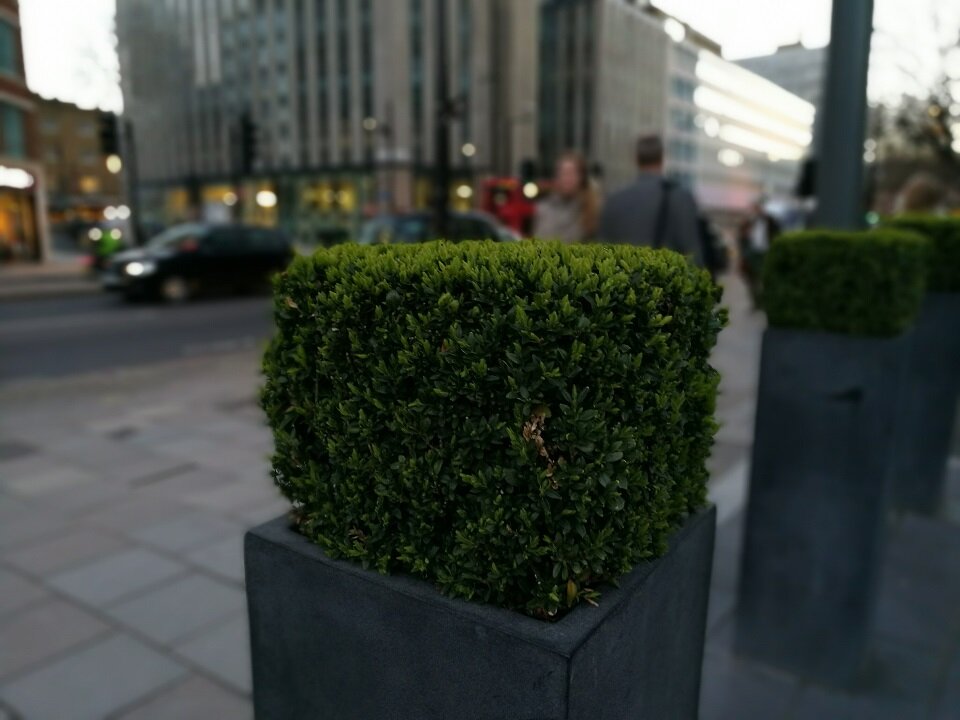 Điện thoại Huawei P9