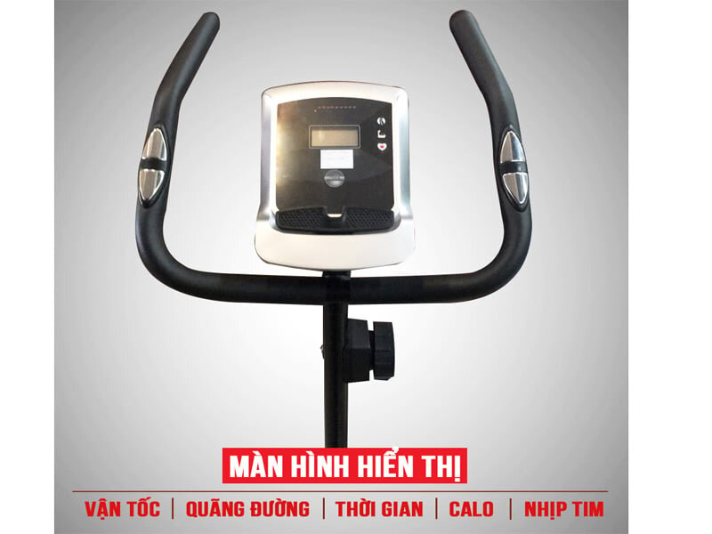 Xe đạp cố định Royal 581C