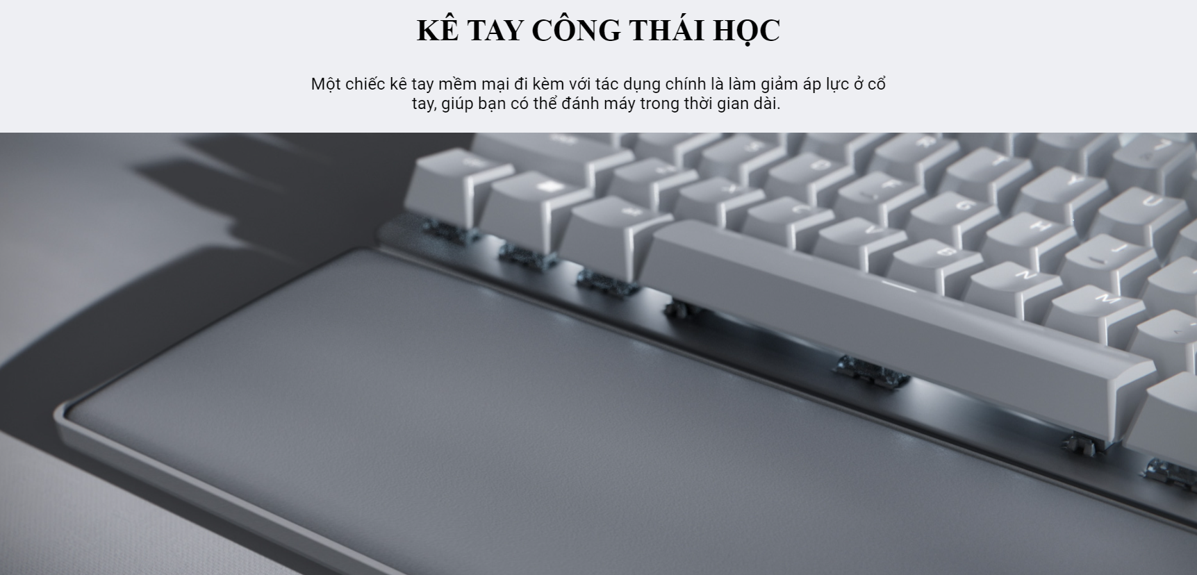 Bàn phím không dây Razer Pro Type Ultra Wireless Productivity (RZ03-04110100-R3M1) 5