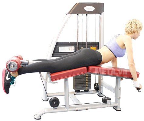 Máy móc đùi sau Tiger Sport TG-140 Máy móc đùi sau Tiger Sport TG-140